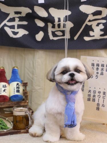 20240623みたらしちゃん